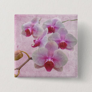 Bóton Quadrado 5.08cm Orquídeas-Mama rosa - Phalaenopsis