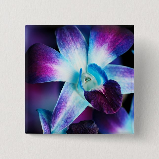 Bóton Quadrado 5.08cm Orquídeas personalizadas do Dendrobium orquídea (Frente)