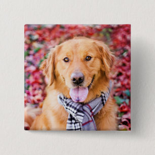 Bóton Quadrado 5.08cm Ouro Retriever Em Scarf