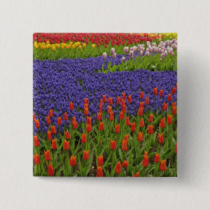 Bóton Quadrado 5.08cm Padrão de tulipas e flores de jacinto de uva, 2
