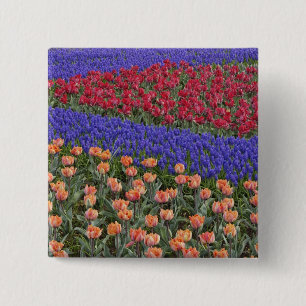 Bóton Quadrado 5.08cm Padrão de tulipas e flores de jacinto de uva, 3