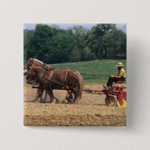 Bóton Quadrado 5.08cm País Amish pessoas simples na agricultura com