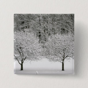 Bóton Quadrado 5.08cm Paisagem coberto de neve