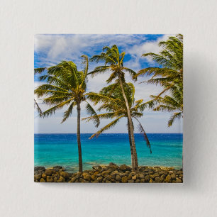 Bóton Quadrado 5.08cm Palmeiras de coco (Cocos nucifera) balançando ao