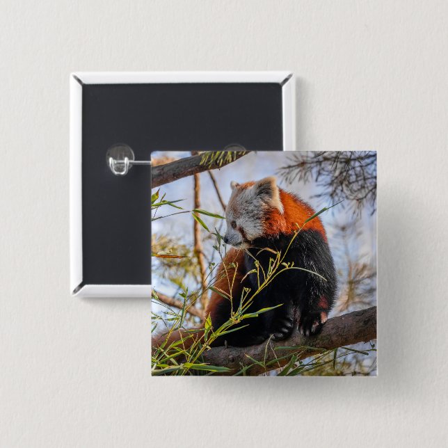 Bóton Quadrado 5.08cm Panda vermelha (Frente & Verso)