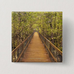Bóton Quadrado 5.08cm Parque nacional de Daintree (património mundial d