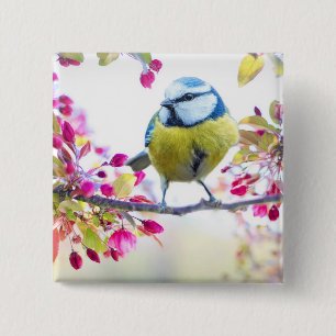 Bóton Quadrado 5.08cm Pássaro Azul e Amarelo bonito em uma Fotografia d