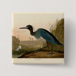Bóton Quadrado 5.08cm Pássaro de Água com Crane Azul Audubon
