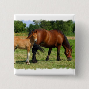 Bóton Quadrado 5.08cm Pastando o Pin do quadrado da família do cavalo