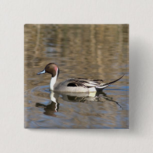 Bóton Quadrado 5.08cm Pato Rabo-de-palha Nadan Em Um Lago