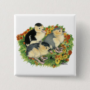 Bóton Quadrado 5.08cm Patos de Jardim Flor