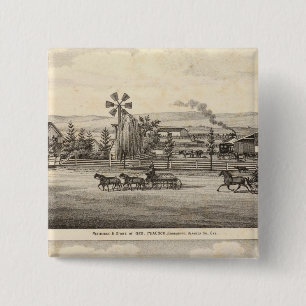 Bóton Quadrado 5.08cm Peacock res, Willow Glen