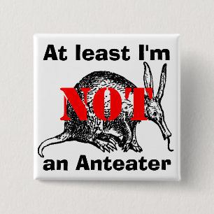 Bóton Quadrado 5.08cm Pelo menos eu não sou um Anteater!