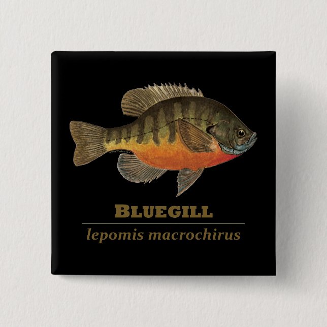 Bóton Quadrado 5.08cm Pesca da maré azul (Frente)