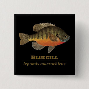 Bóton Quadrado 5.08cm Pesca da maré azul
