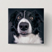 Pet de Fotografia de Cachorro Personalizado