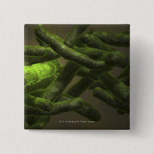 Bóton Quadrado 5.08cm Pilhas da tuberculose de Mycobacterium