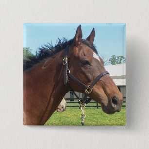 Bóton Quadrado 5.08cm Pin árabe alerta do cavalo