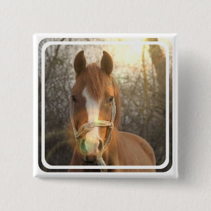 Bóton Quadrado 5.08cm Pin árabe do quadrado do cavalo da castanha