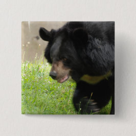 Bóton Quadrado 5.08cm Pin asiático do urso preto
