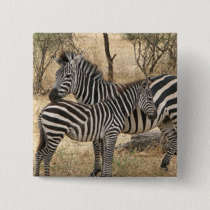 Bóton Quadrado 5.08cm Pin da zebra da mãe e do bebê