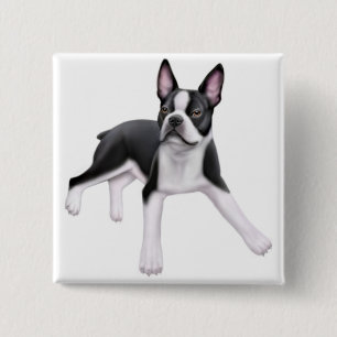 Bóton Quadrado 5.08cm Pin de Boston Terrier