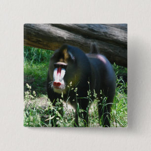 Bóton Quadrado 5.08cm Pin de Mandrill