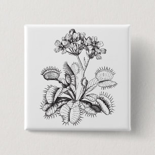 Bóton Quadrado 5.08cm Pin do Flytrap de Venus