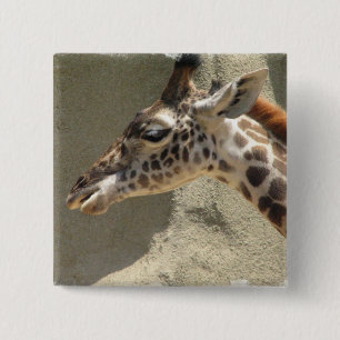 Bóton Quadrado 5.08cm Pin do girafa