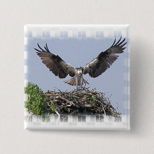 Bóton Quadrado 5.08cm Pin do ninho do Osprey