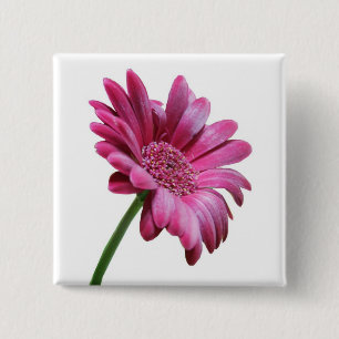 Bóton Quadrado 5.08cm Pin do quadrado da margarida do Gerbera
