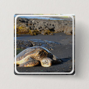 Bóton Quadrado 5.08cm Pin do quadrado da tartaruga de mar