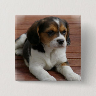 Bóton Quadrado 5.08cm Pin do quadrado do cão de filhote de cachorro do