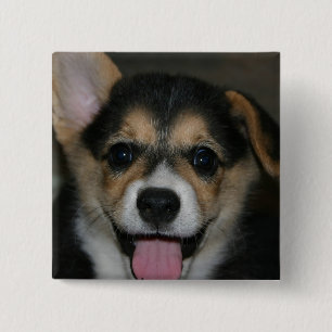 Bóton Quadrado 5.08cm Pin do quadrado do cão do Corgi