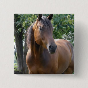 Bóton Quadrado 5.08cm Pin do quadrado do cavalo do puro-sangue da baía