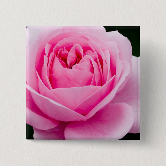 Bóton Quadrado 5.08cm Pin do rosa do rosa Pastel (Frente)