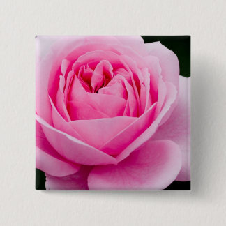 Bóton Quadrado 5.08cm Pin do rosa do rosa Pastel