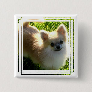 Bóton Quadrado 5.08cm Pin dos filhotes de cachorro de Pomeranian