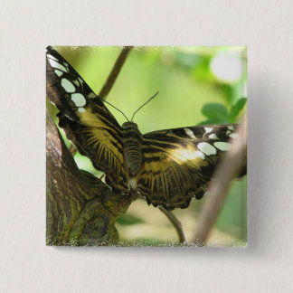 Bóton Quadrado 5.08cm Pin dourado do quadrado da borboleta