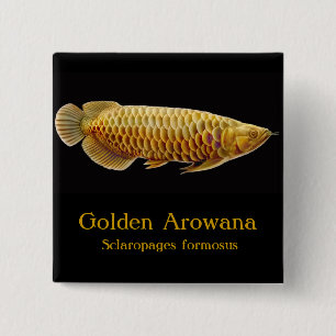 Bóton Quadrado 5.08cm Pin dourado dos peixes de Arowana