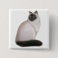 Pin Himalaia macio do gato