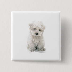 Bóton Quadrado 5.08cm Pin quadrado bonito de Bichon Frise