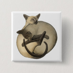 Bóton Quadrado 5.08cm Pin Siamese sonolento