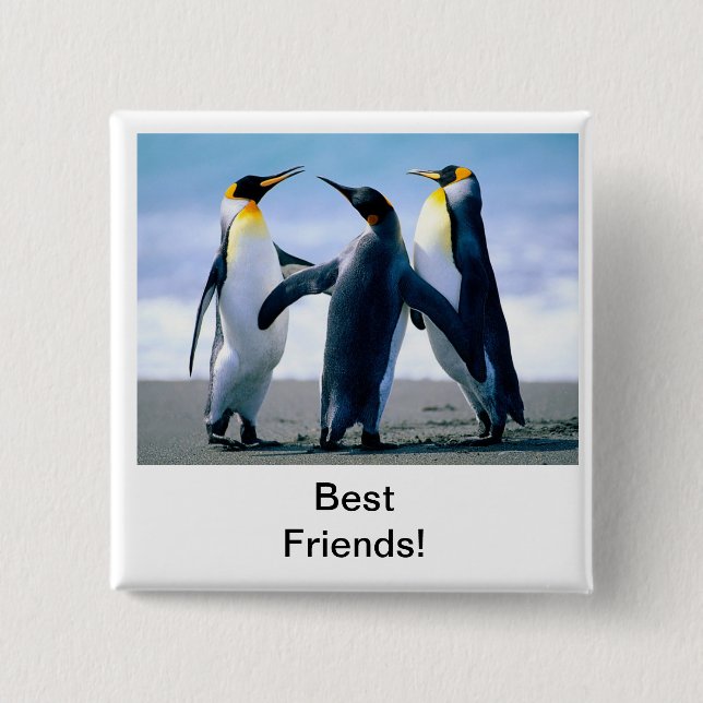 Bóton Quadrado 5.08cm pinguim (Frente)