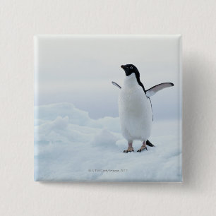 Bóton Quadrado 5.08cm Pinguim de Adelie, a Antártica