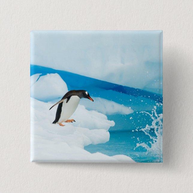 Bóton Quadrado 5.08cm pinguim-de-gentoo, Pygoscelis Papua, saltando (Frente)