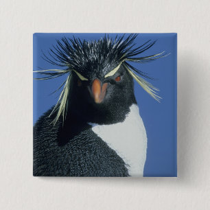 Bóton Quadrado 5.08cm Pinguim Saltador-rochoso (Eudyptes chrysocome)