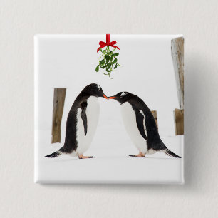 Bóton Quadrado 5.08cm Pinguins de Gentoo que beijam - botão