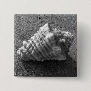 Bóton Quadrado 5.08cm Pino do Botão de Praia da Seashell Conch