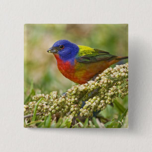 Bóton Quadrado 5.08cm Pintor Verdadeiro